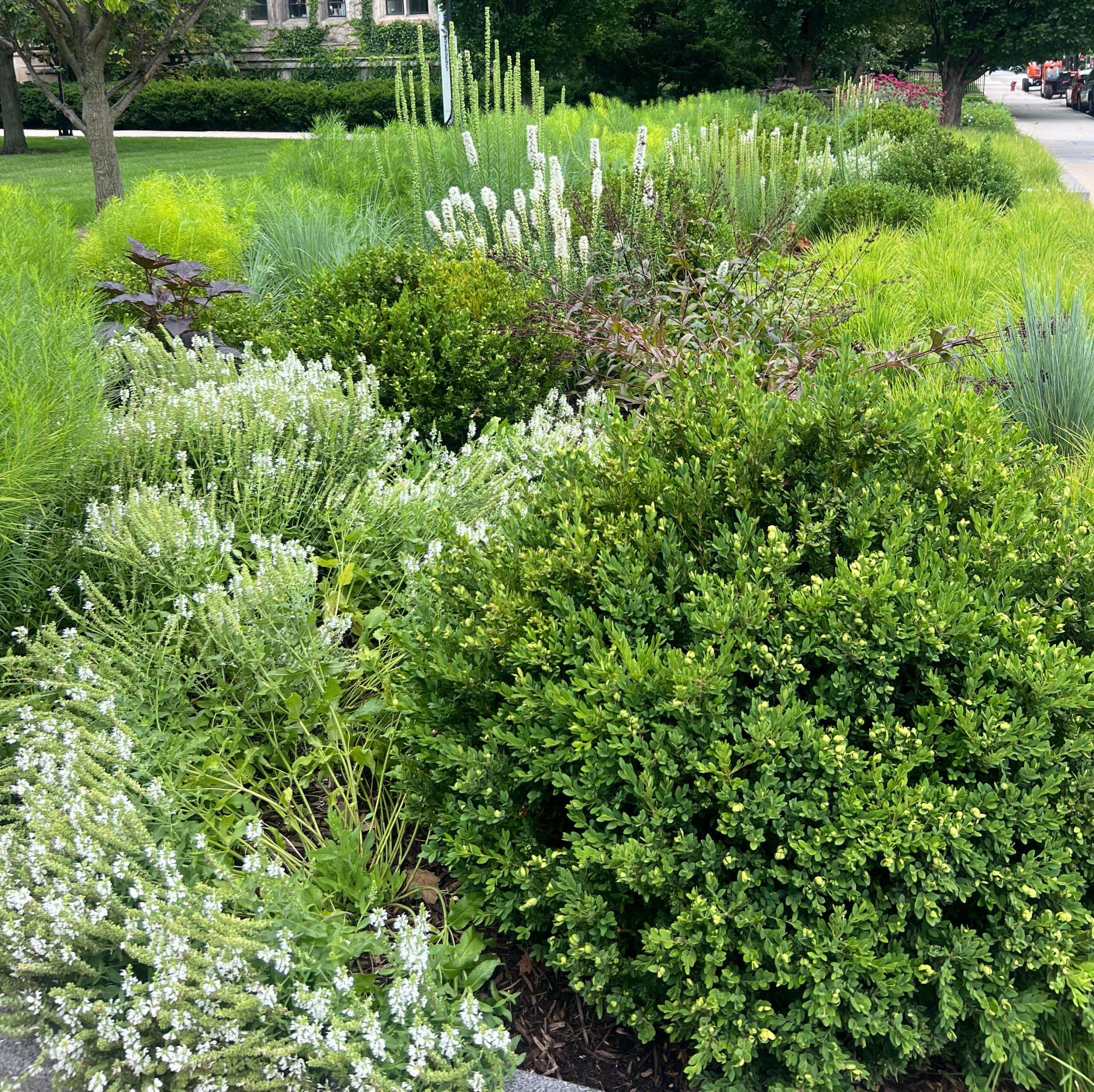 Give Yourself a Special Gift Every Time You Step into Your Yard
