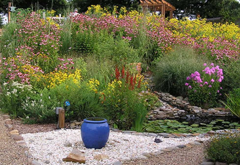 Why Plant a Rain Garden?